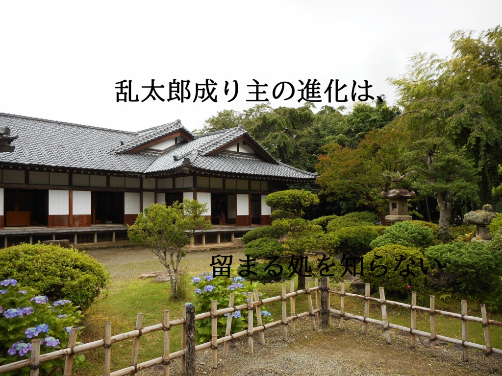 乱太郎成り主の進化は、留まる処を知らない