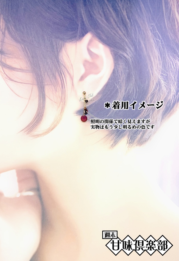 韓当 (真・三國無双 ) イメージイヤリング