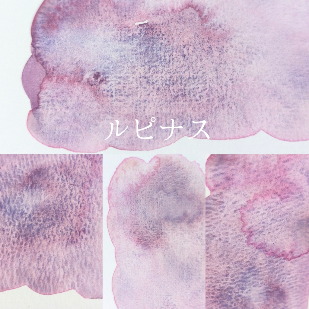 【4月】初夏を彩る