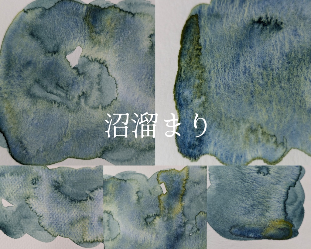 【6月】コケ系分離色