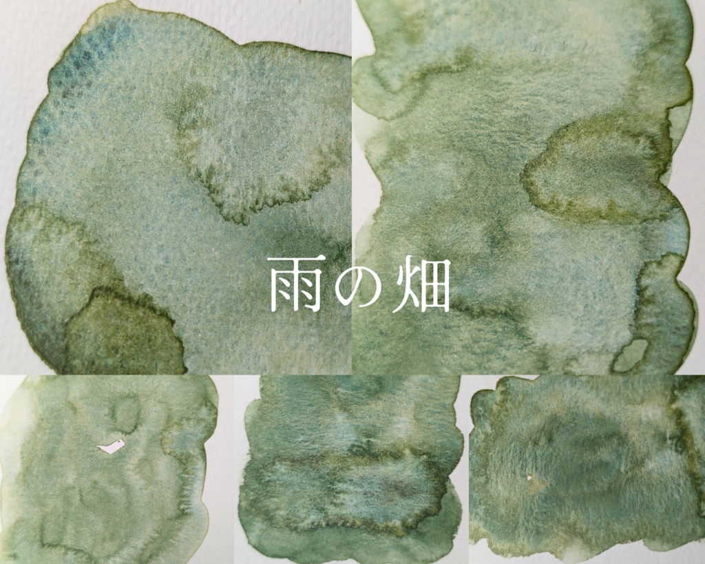 【6月】コケ系分離色