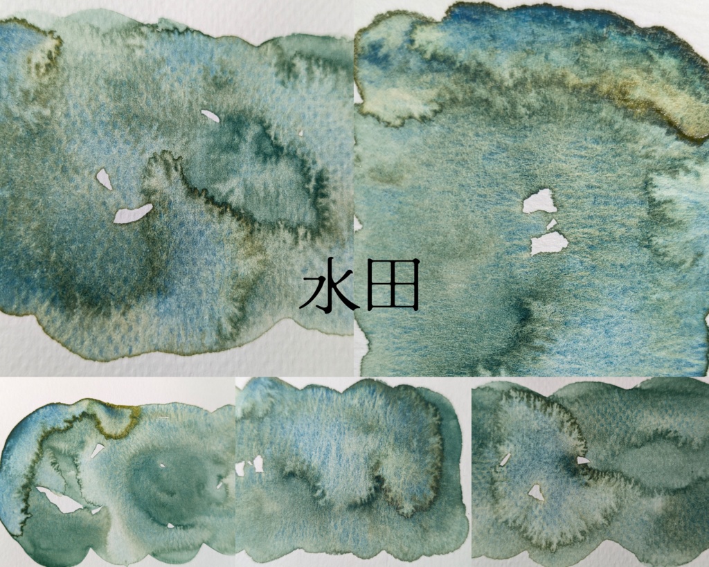 【6月】コケ系分離色