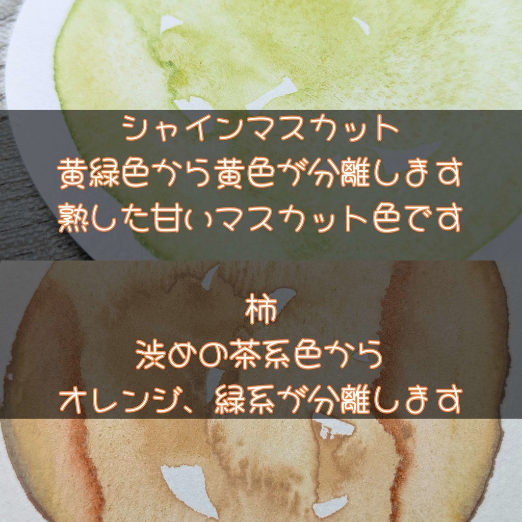 【そうさくマーケット】秋果実(シャインマスカット/柿)2色セット