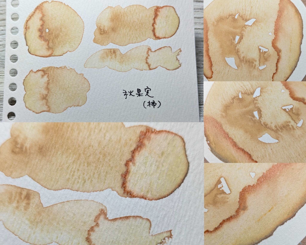 【そうさくマーケット】秋果実(シャインマスカット/柿)2色セット