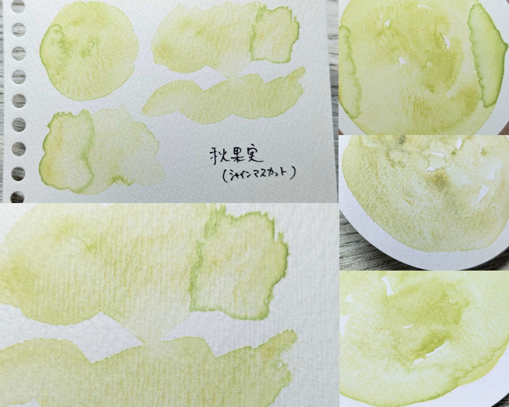 【そうさくマーケット】秋果実(シャインマスカット/柿)2色セット