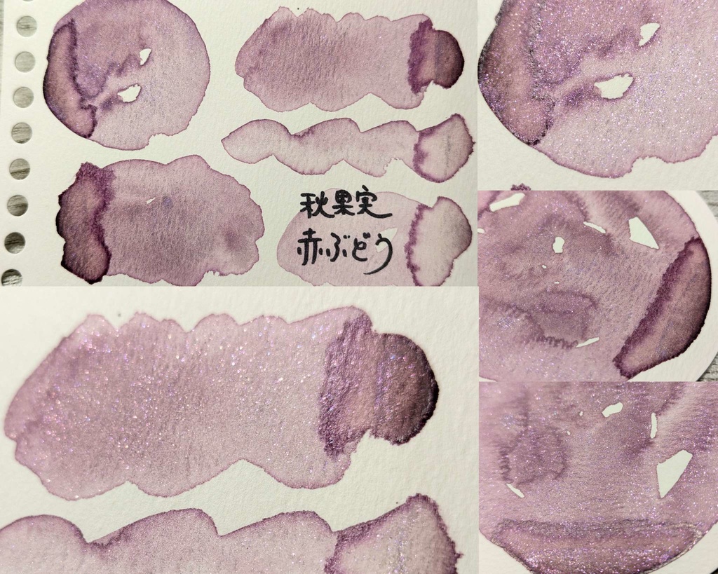 【9月】秋果実(巨峰/赤ぶどう)2色セット⚠再販なし