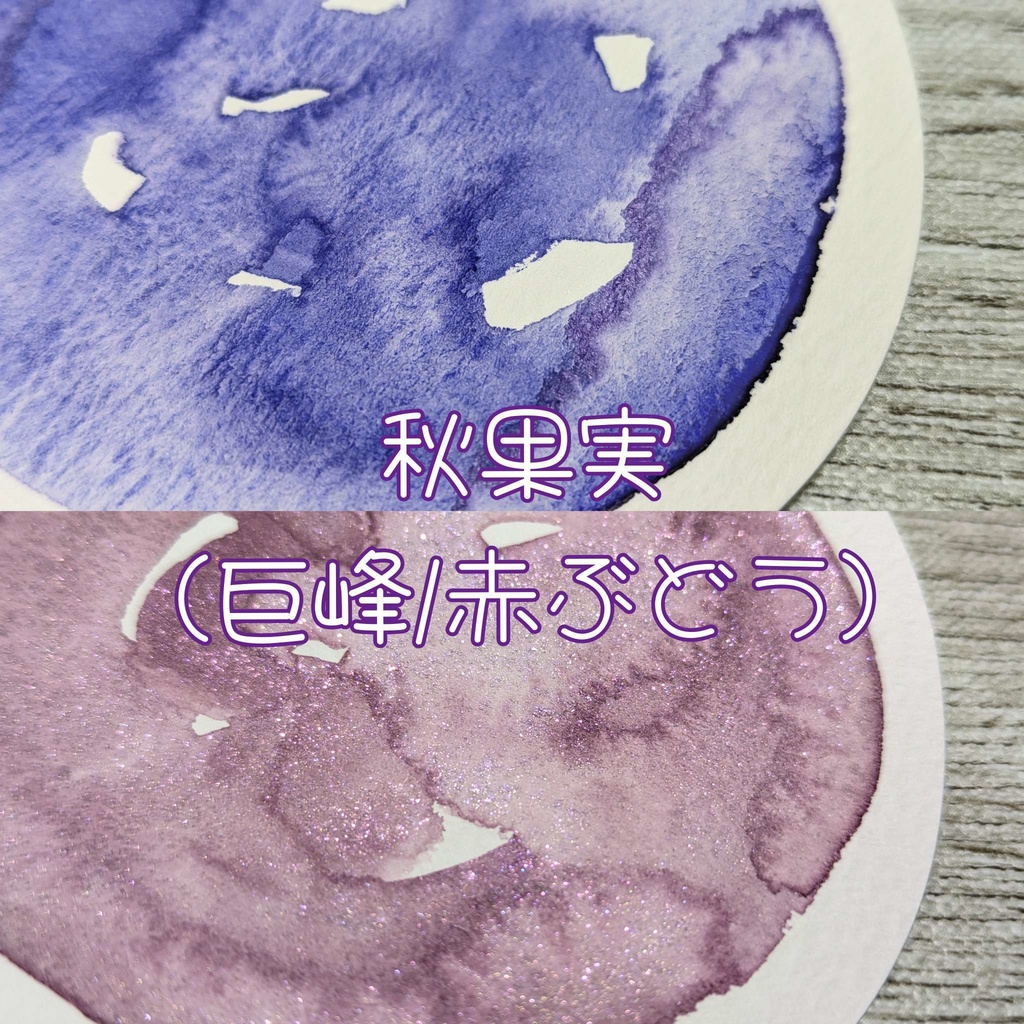 【9月】秋果実(巨峰/赤ぶどう)２色セット⚠再販なし