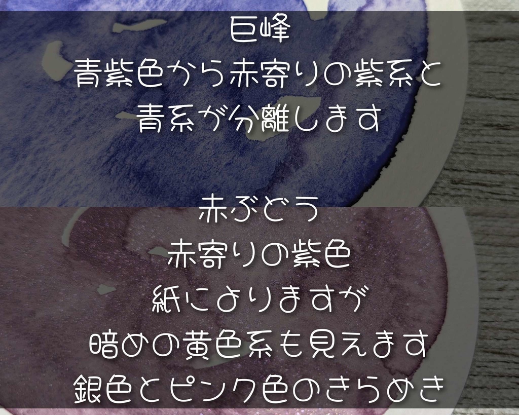【9月】秋果実(巨峰/赤ぶどう)2色セット⚠再販なし
