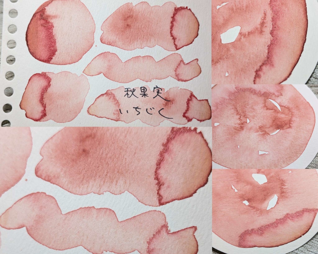 【9月】秋果実(いちじく/焼りんご)2色セット⚠再販なし