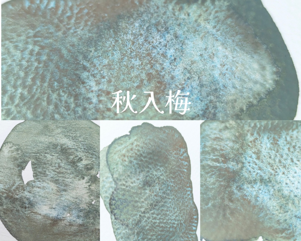 【10月】冬に向けての8色