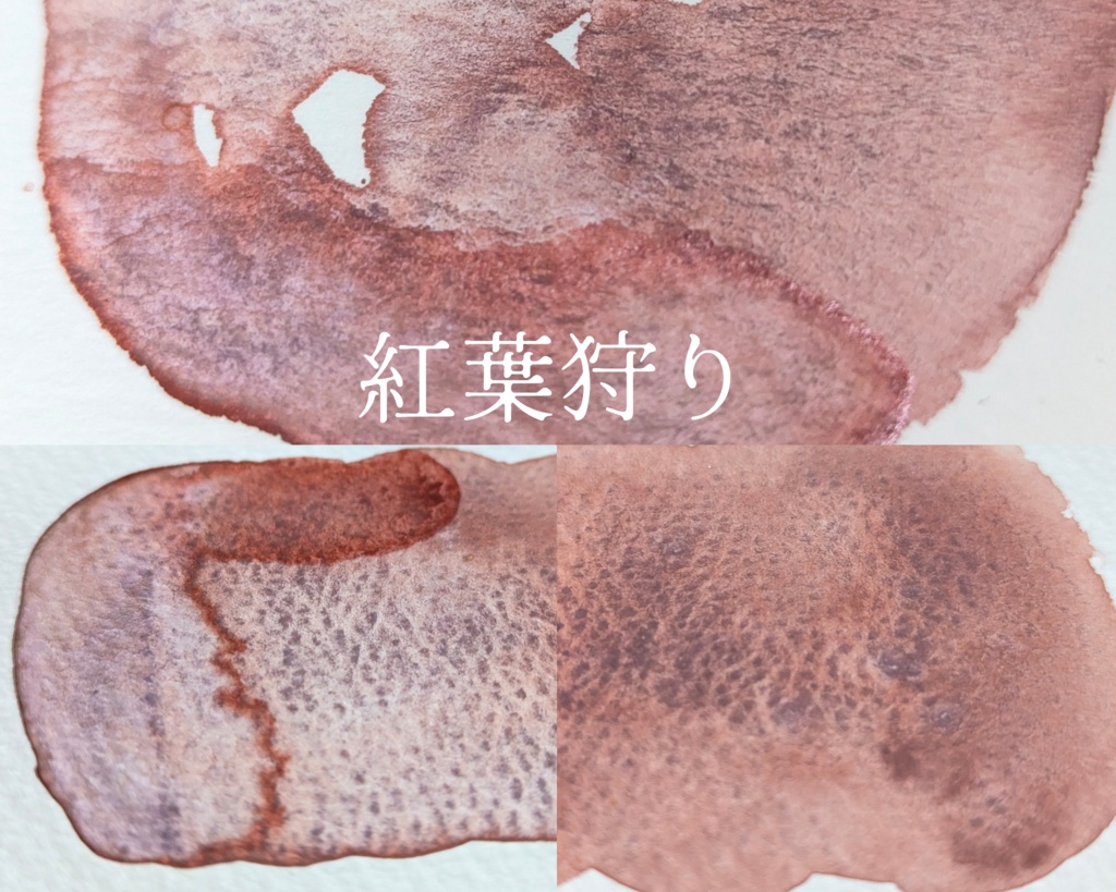 【10月】紅葉を愛でる