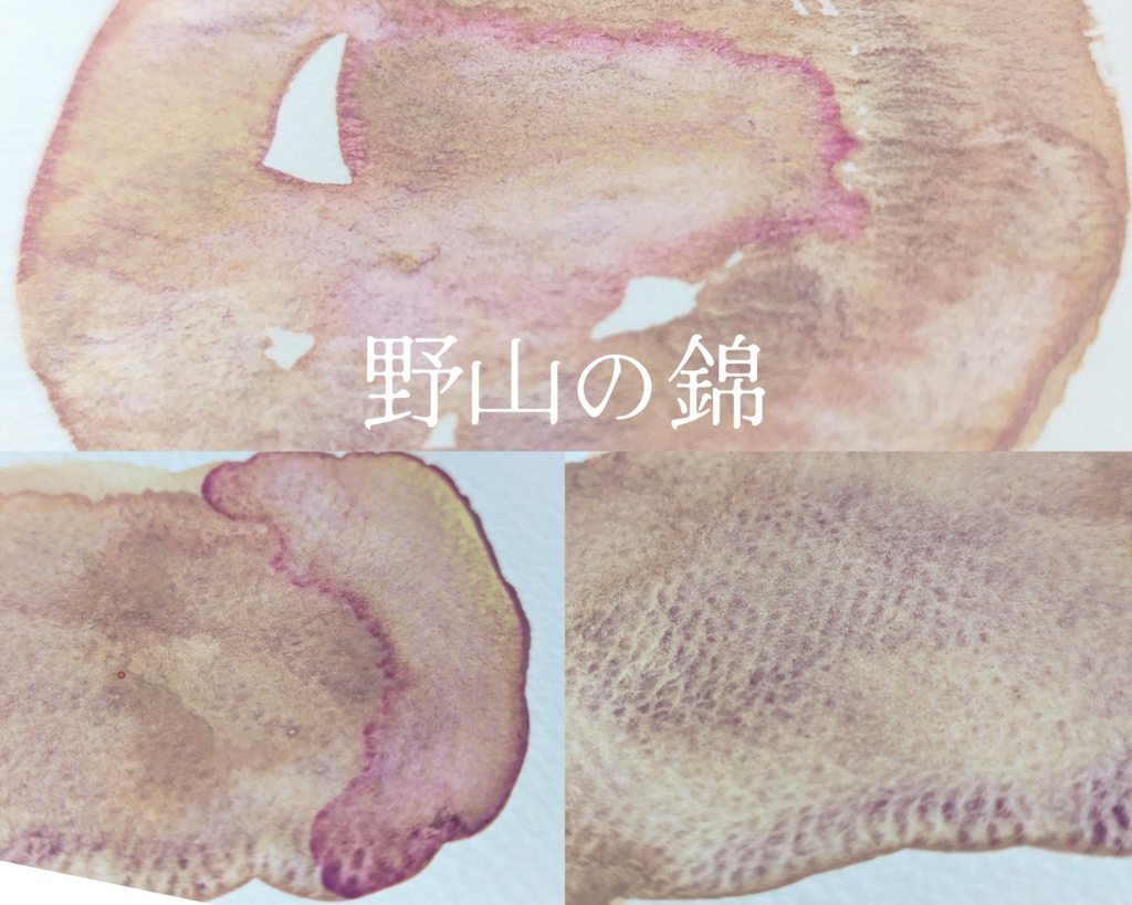 【10月】紅葉を愛でる