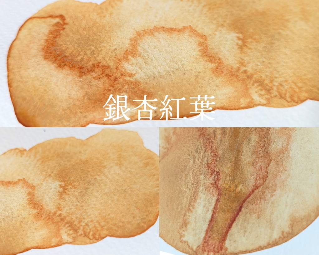 【10月】紅葉を愛でる