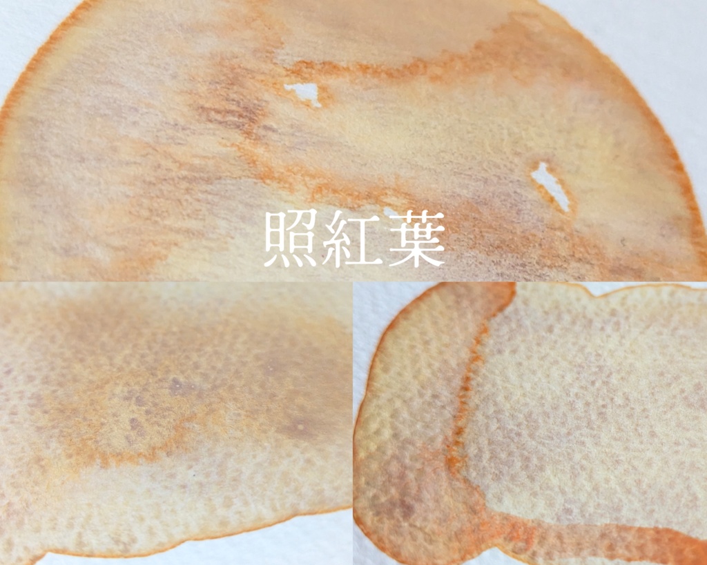 【10月】紅葉を愛でる