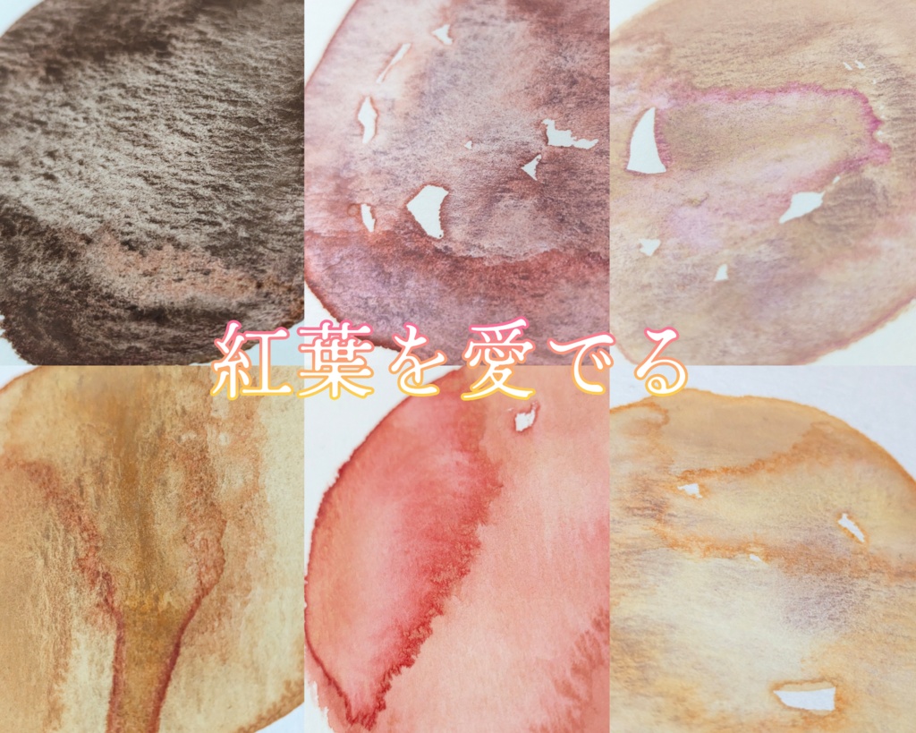 【10月】紅葉を愛でる