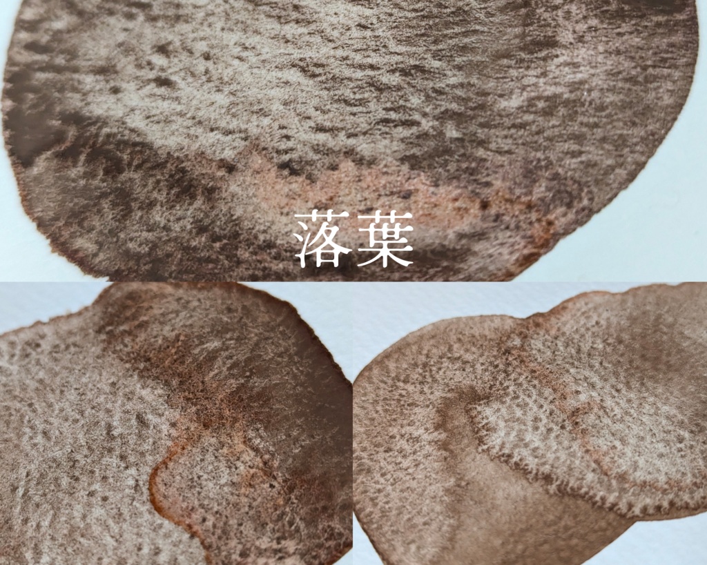 【10月】紅葉を愛でる