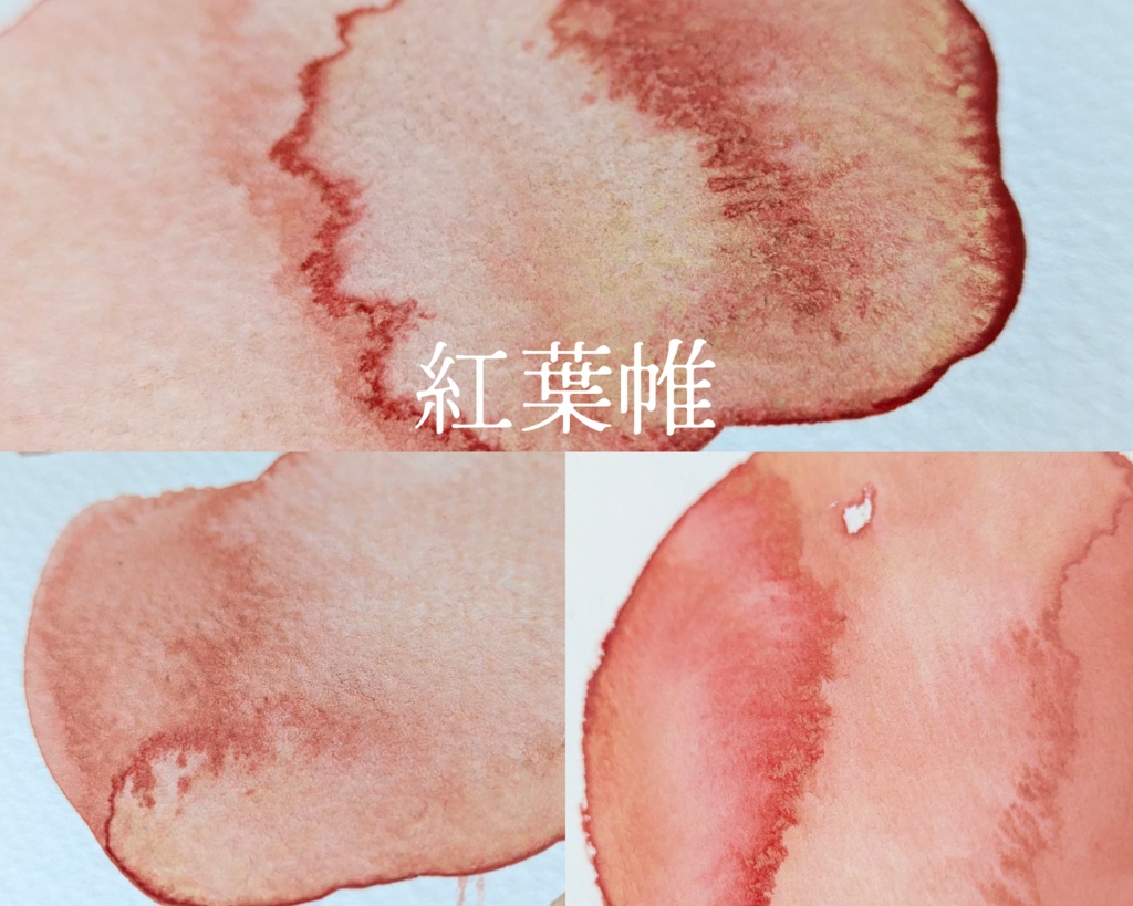 【10月】紅葉を愛でる