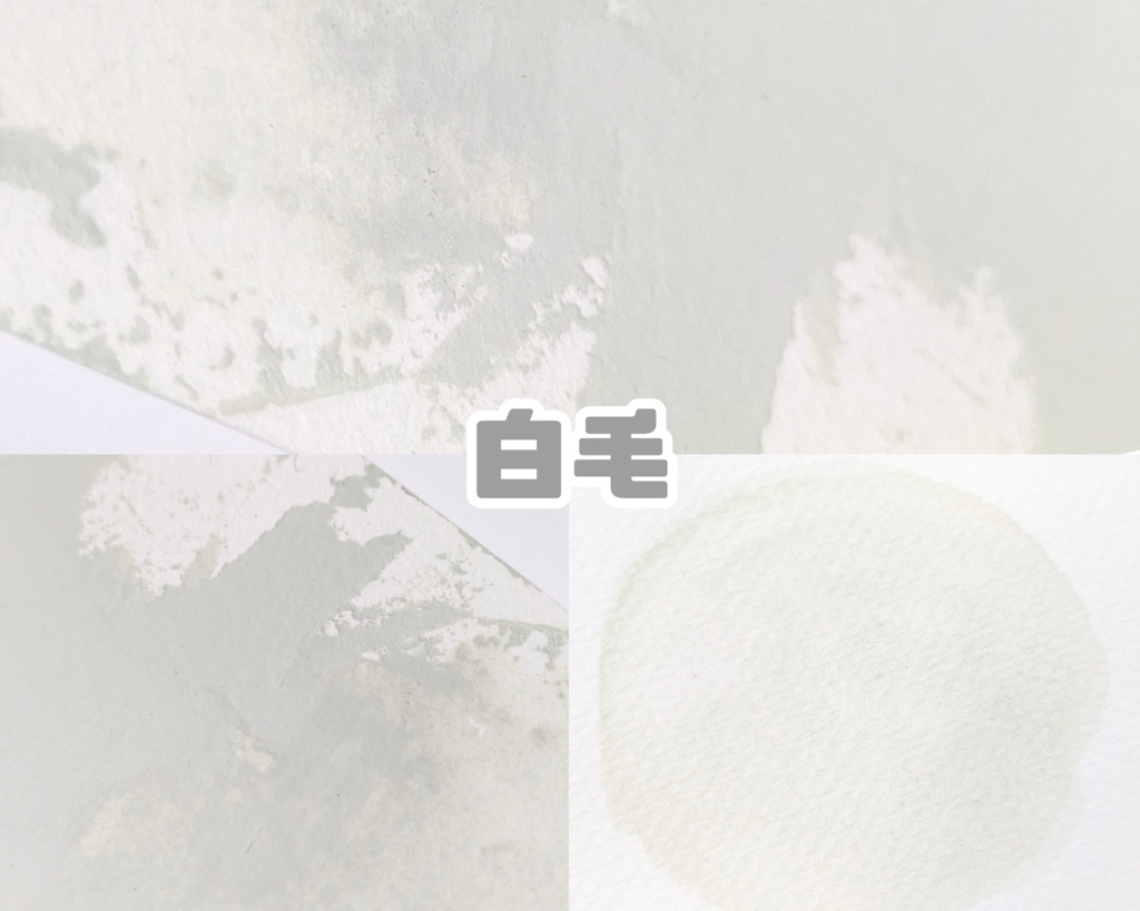 【12月】馬の毛色シリーズ