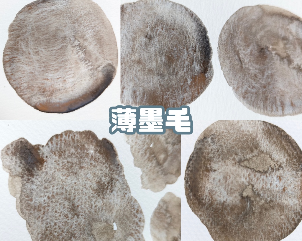 【12月】馬の毛色シリーズ