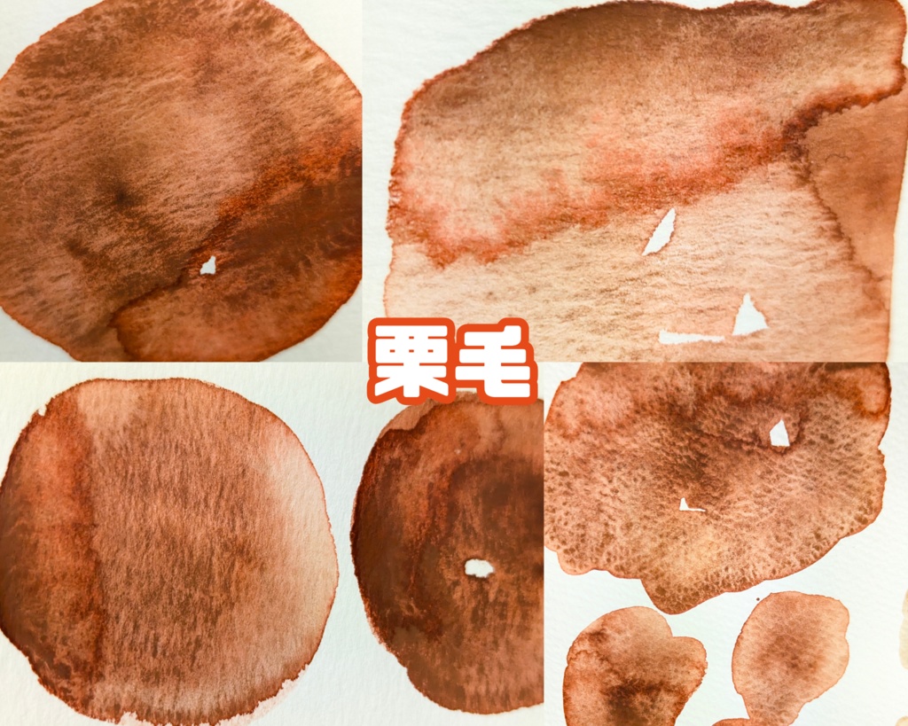 【12月】馬の毛色シリーズ