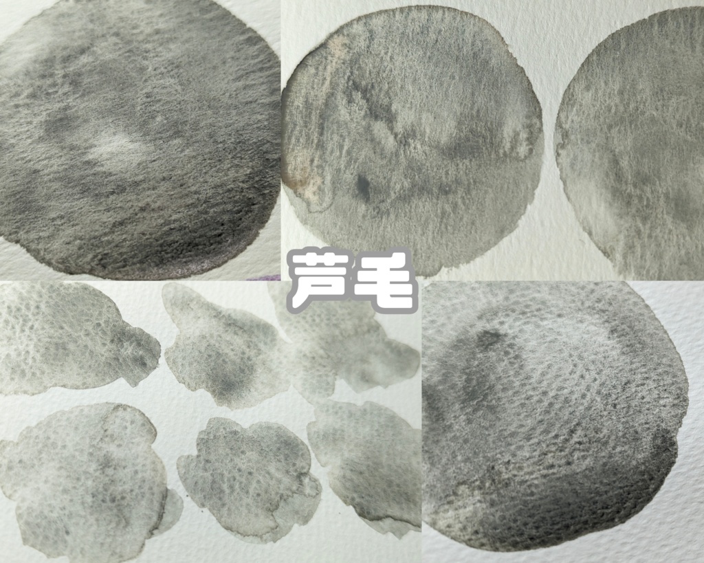 【12月】馬の毛色シリーズ