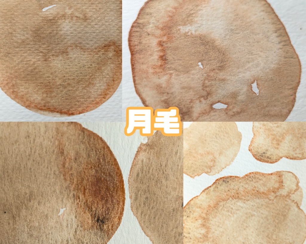 【12月】馬の毛色シリーズ