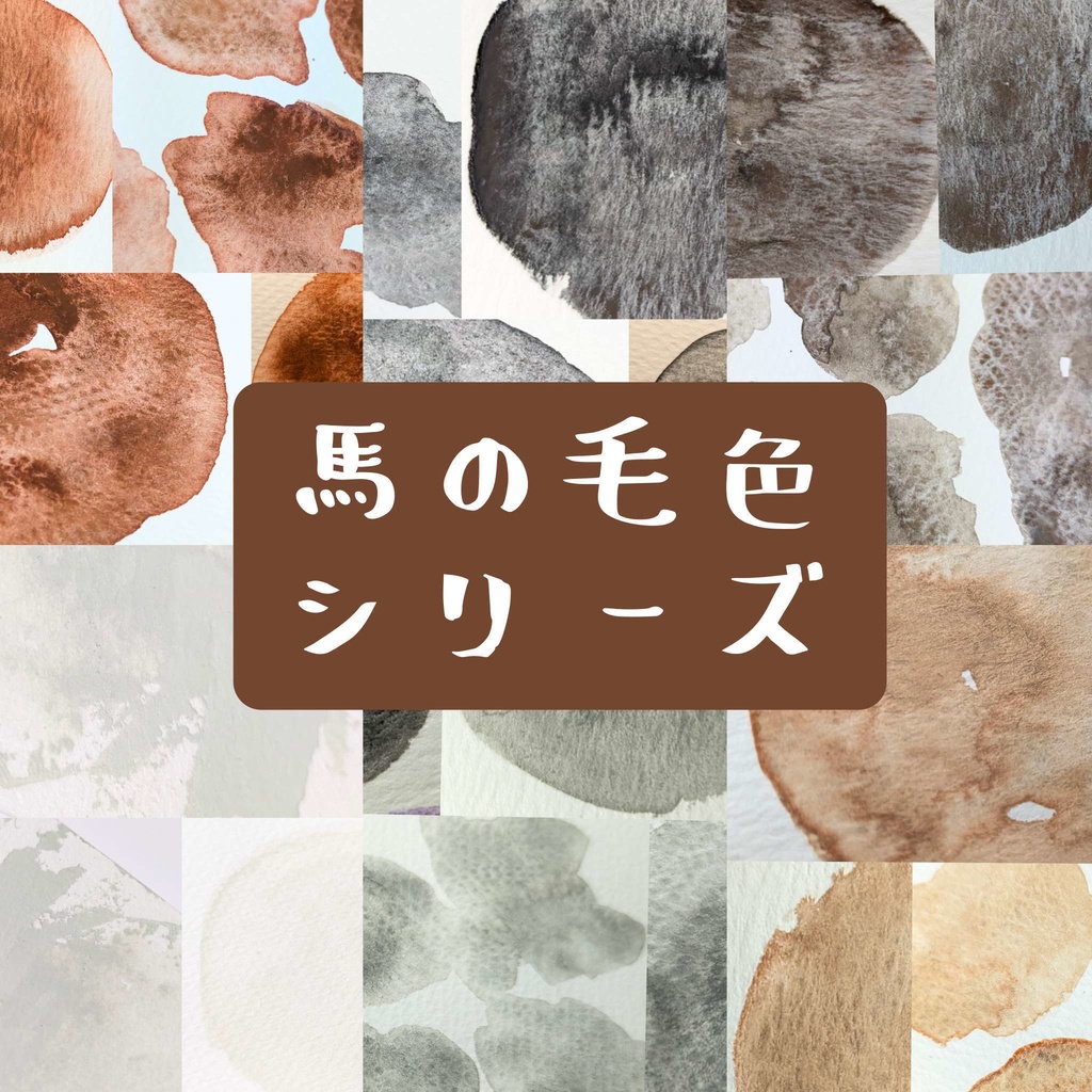 【12月】馬の毛色シリーズ