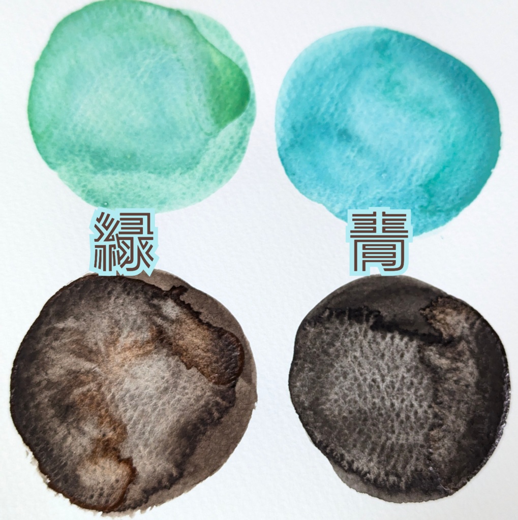 【1月】チョコレートミント2色セット(⚠再販なし)