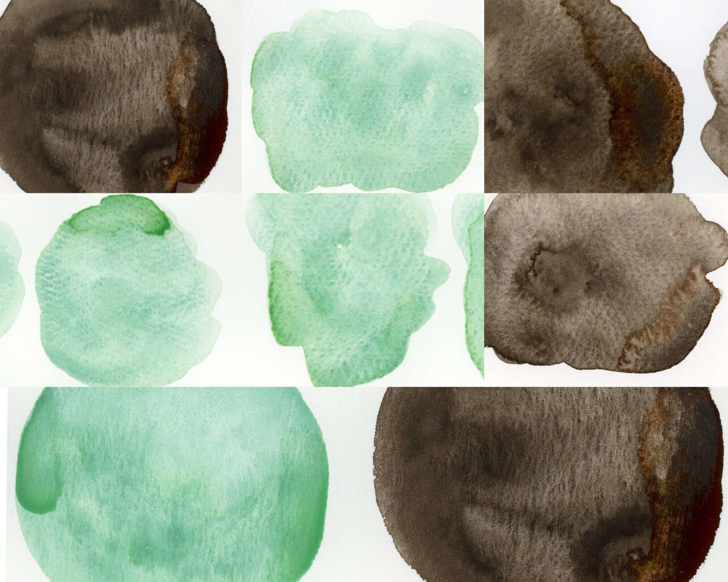 【1月】チョコレートミント2色セット(⚠再販なし)