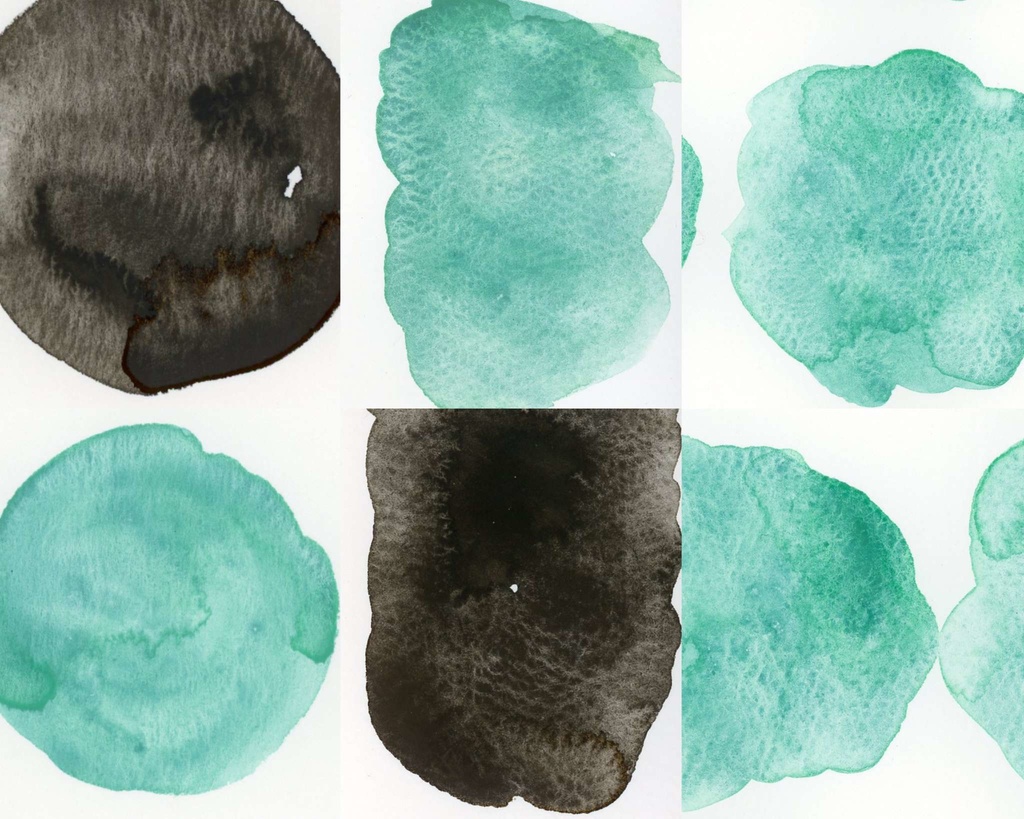 【1月】チョコレートミント2色セット(⚠再販なし)