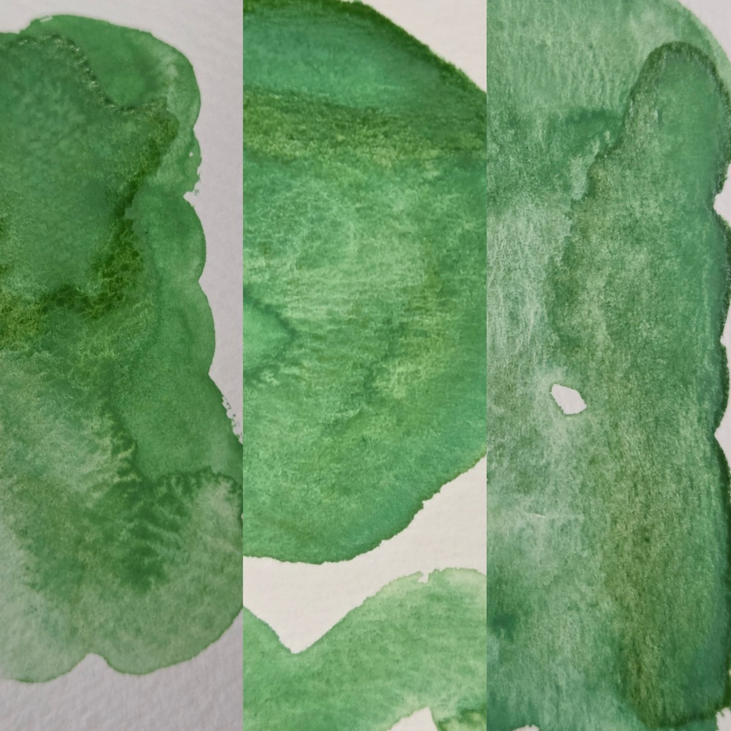 【7月/そうさくマーケット】夏野菜カラーズ