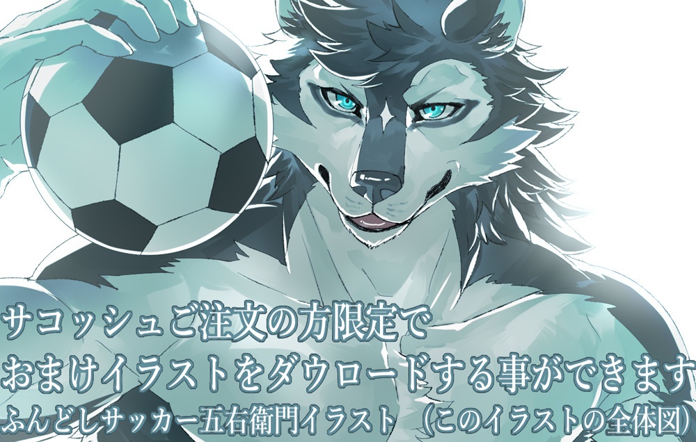 五右衛門サコッシュ