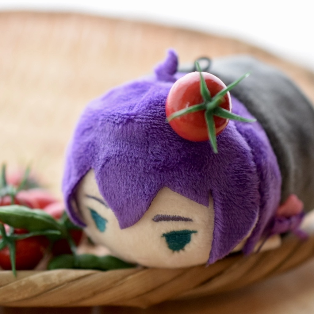 お野菜髪飾り【夏】