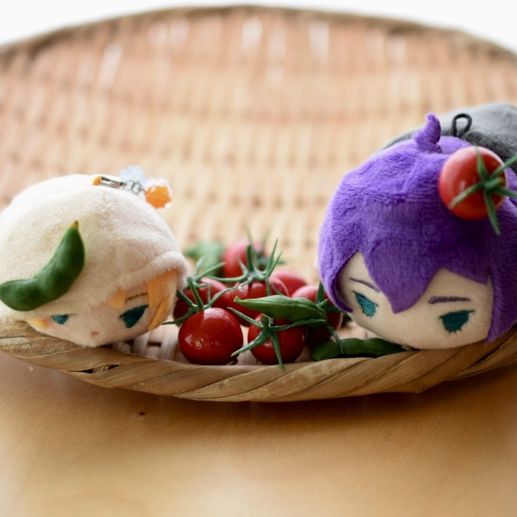 お野菜髪飾り【夏】