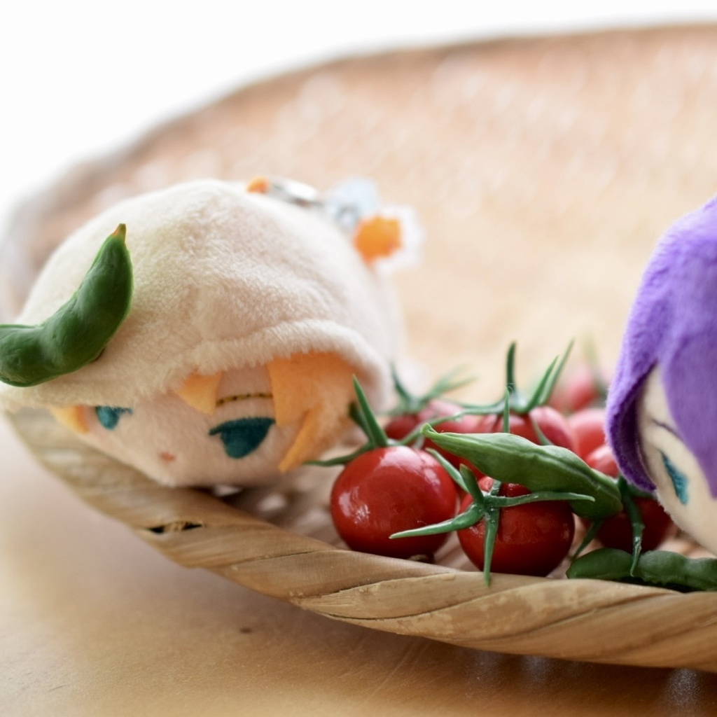 お野菜髪飾り【夏】