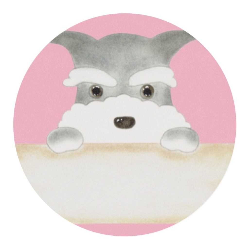 シュナウザーからのメッセージ