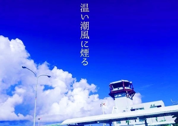 温い潮風に煙る【向日葵編】