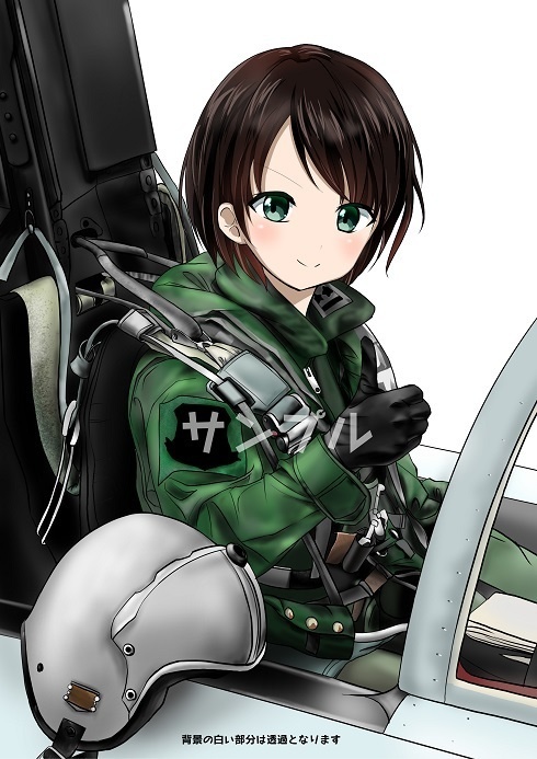 航空自衛隊女性戦闘機パイロット（商用版）