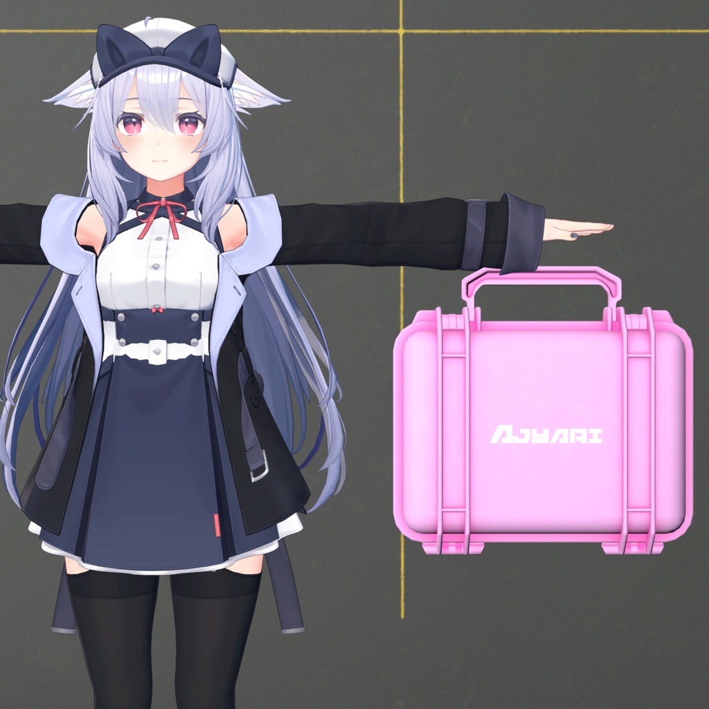 ハードケース/Hardcase