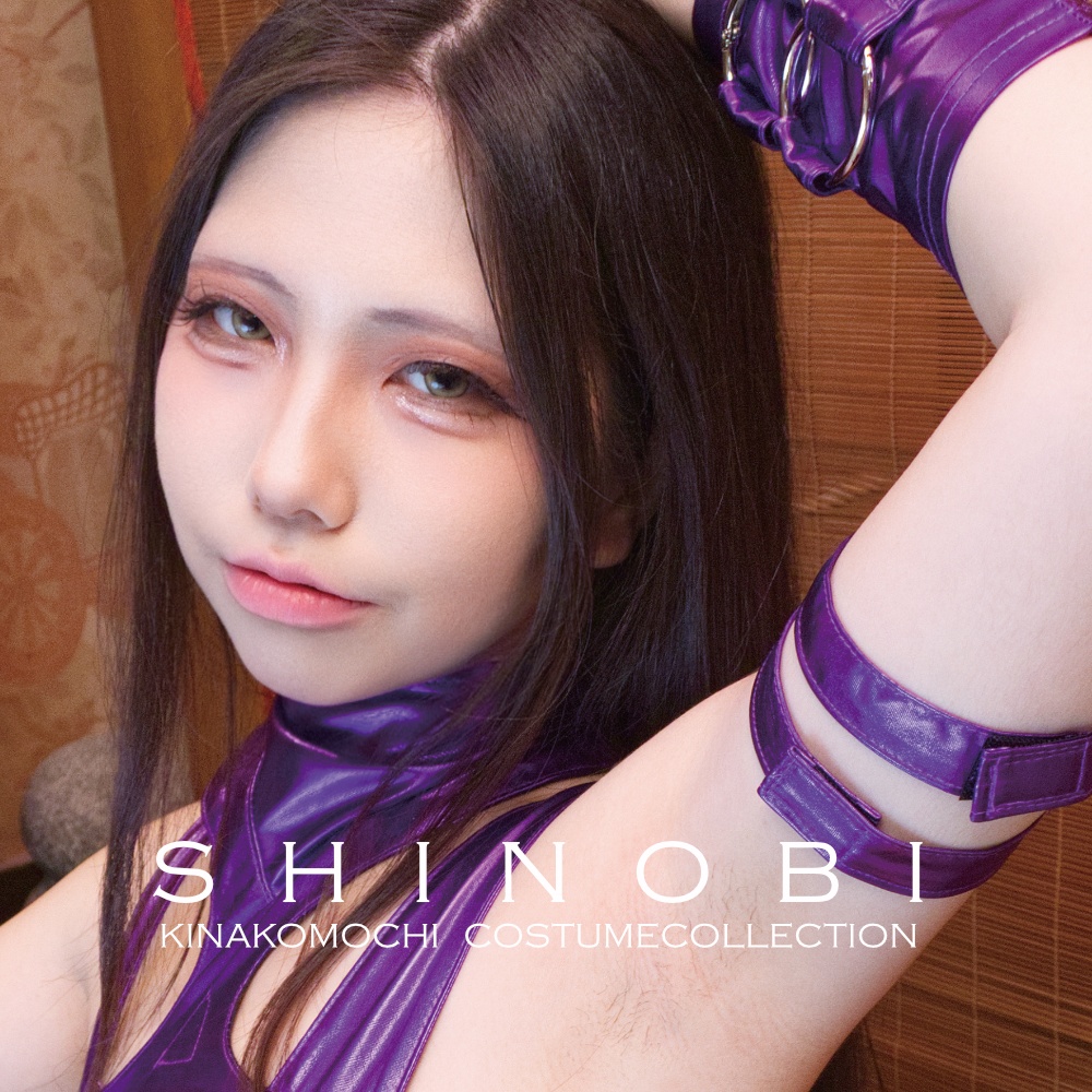 SHINOBI-CYBER