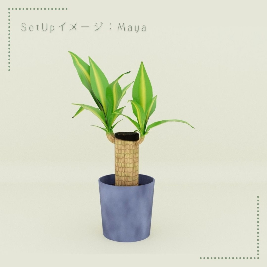 【無料】観葉植物(ドラセナ)