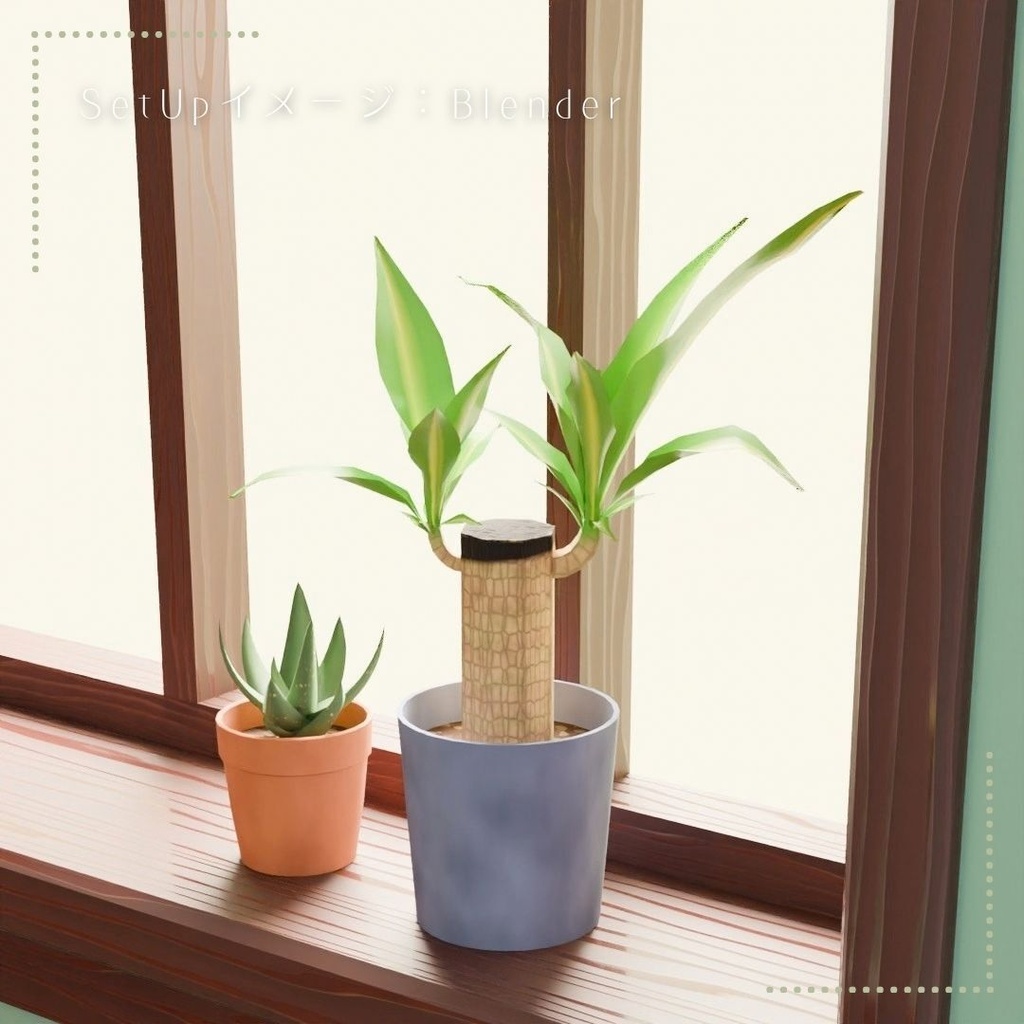 【無料】観葉植物(ドラセナ)