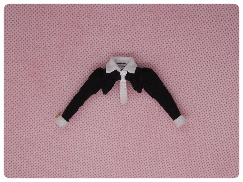 1/12 逆バニー衣装