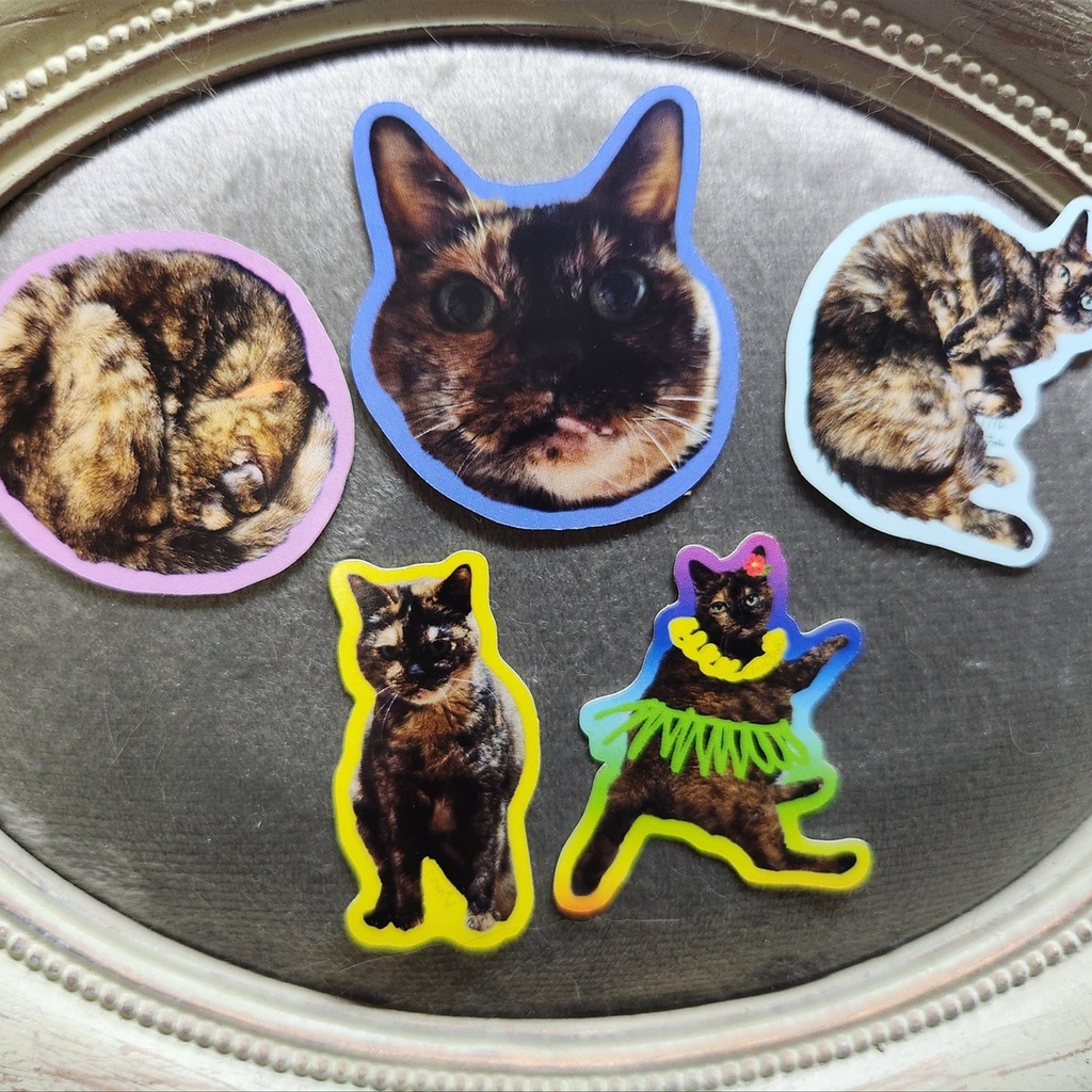 ハルちゃんシール5枚セット