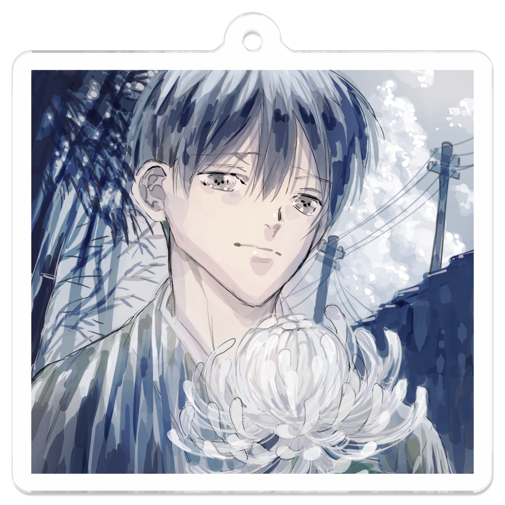 入道雲の菊の君