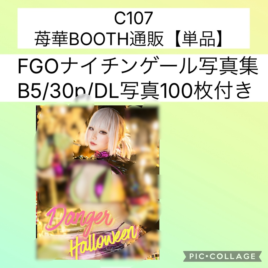 【C107】ＦＧＯ／ナイチンゲール／B5写真集／礼装