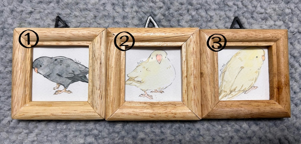 ミニ原画・サザナミインコ