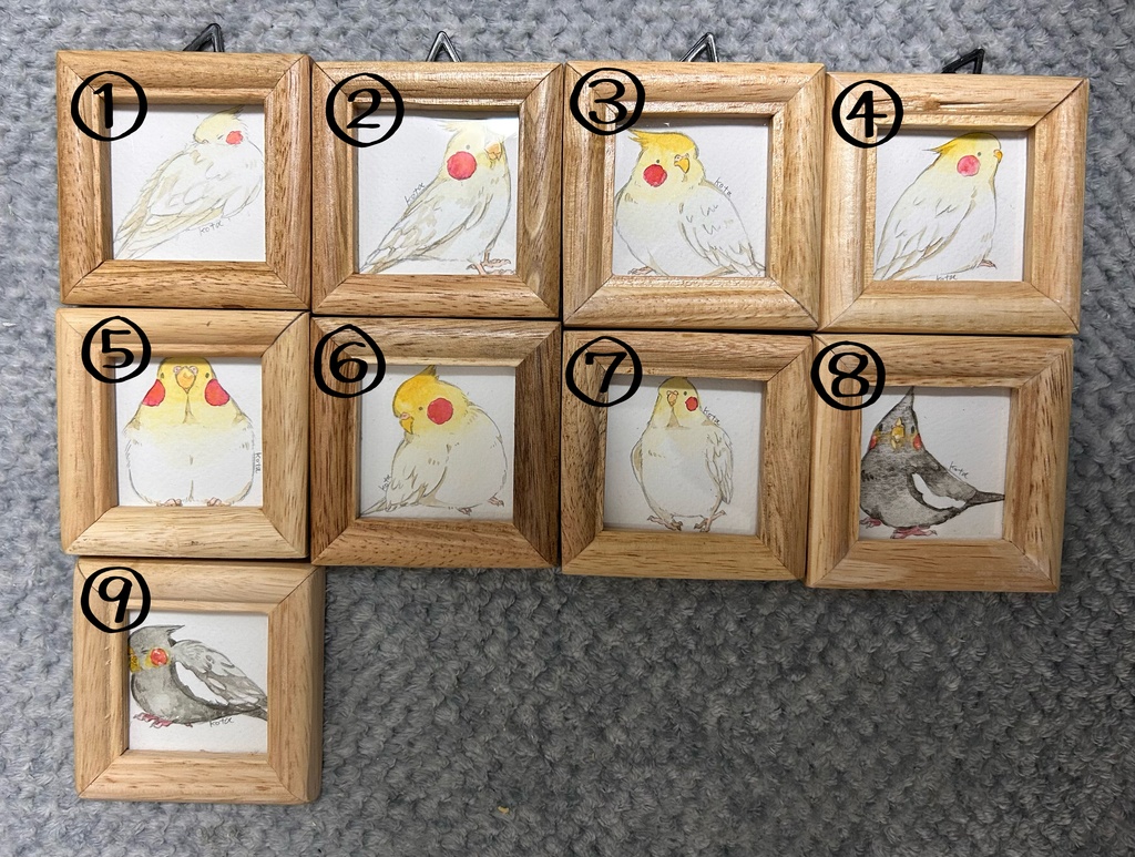 ミニ原画・オカメインコ
