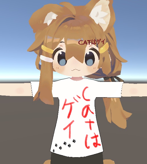 CATGAYTSHIRT