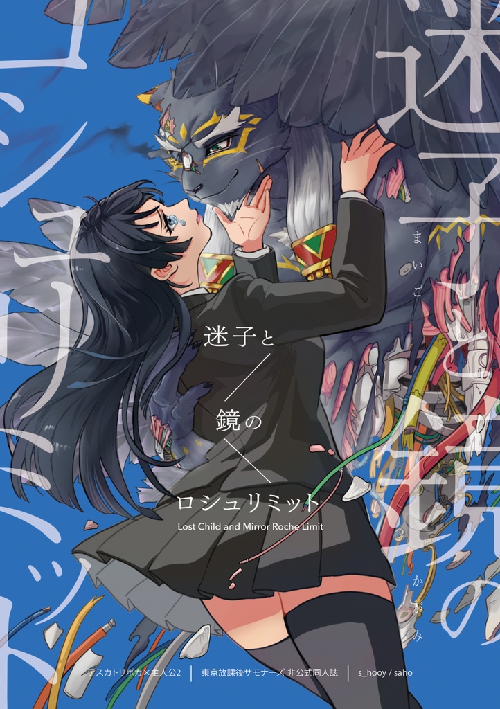 迷子と鏡のロシュリミット